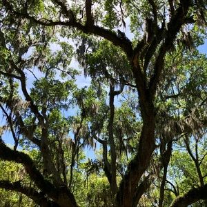 Meet your Posher, Ali